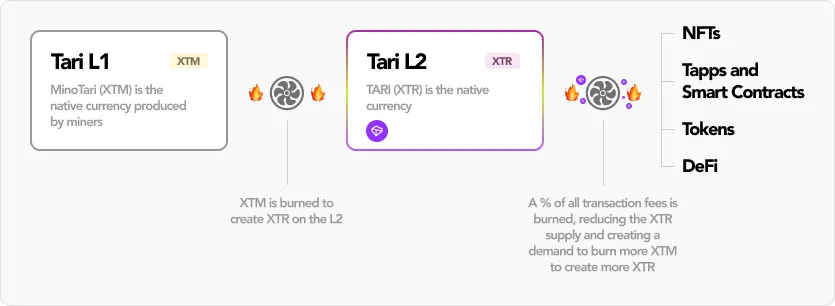 Diagram of the XTM–XTR relationship: burning XTM on Tari L1 creates XTR on Tari L2 for NFTs, Tapps and smart contracts, tokens, and DeFi; a portion of transaction fees is burned to reduce the XTR supply